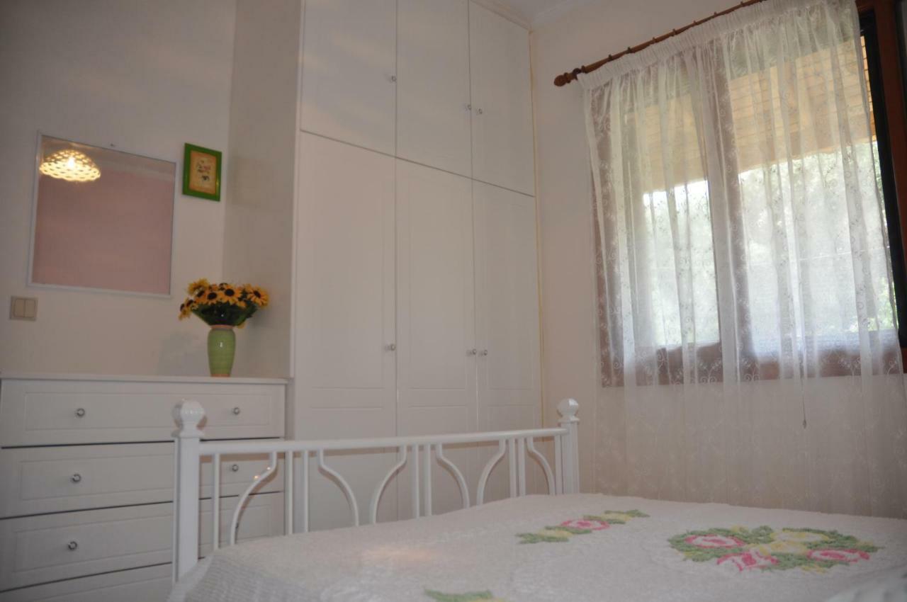 Areti'S Apartment Agios Georgios Pagon Luaran gambar
